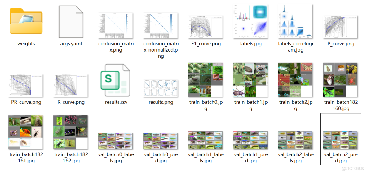 基於深度學習的農業蟲害自動識別系統：YOLOv8 的完整工程_數據集_06