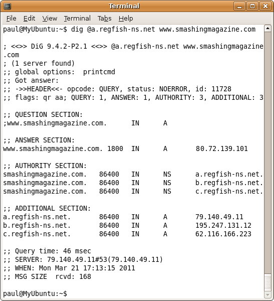 Authoritative dig Screenshot