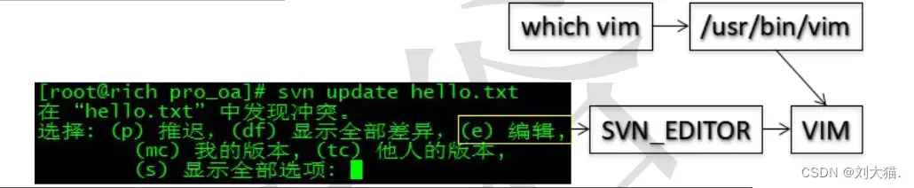 在這裏插入圖片描述