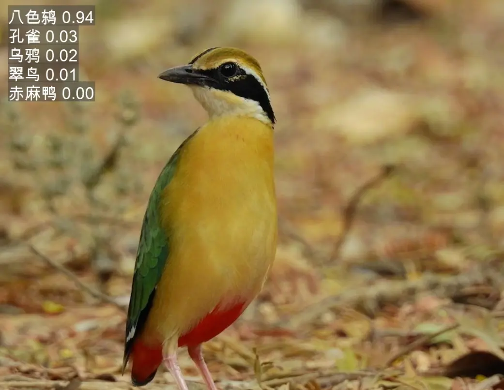 在這裏插入圖片描述