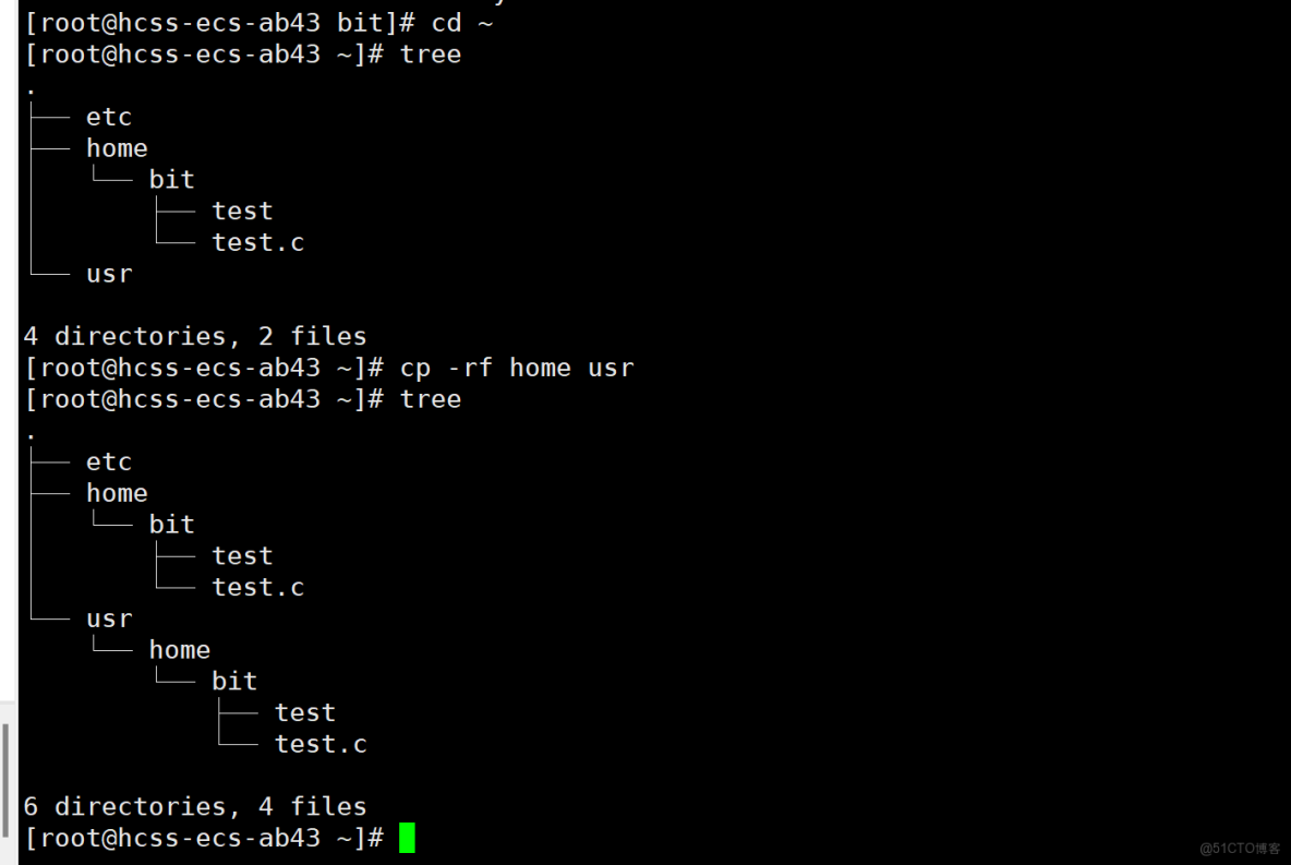 linux指令與實踐文件編寫_搜索_19