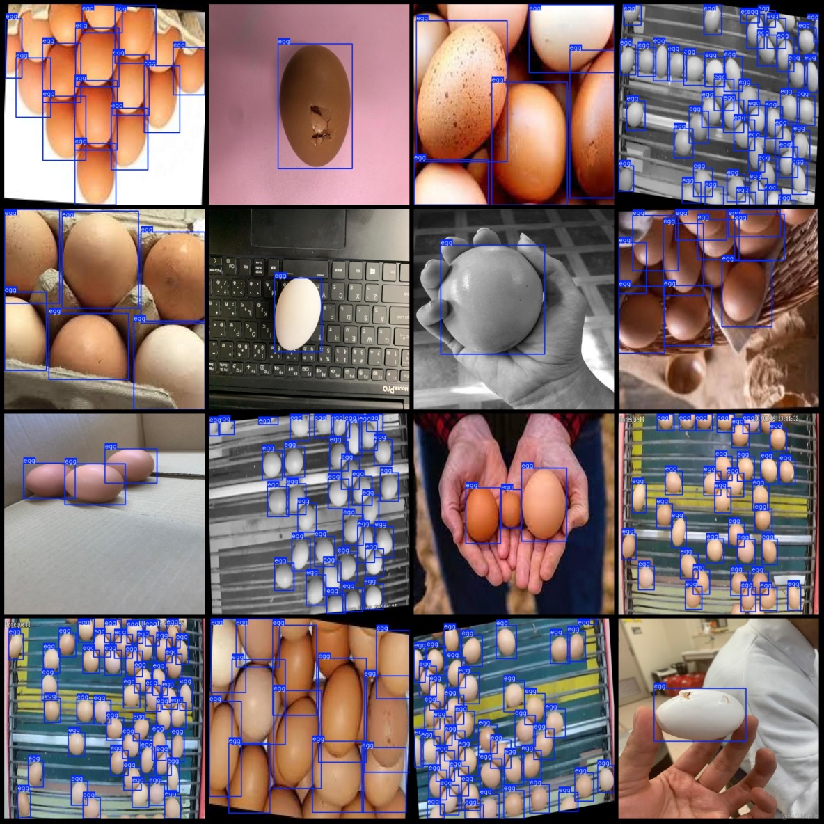 雞蛋檢測數據集VOC+YOLO格式2136張1類別_txt文件_03