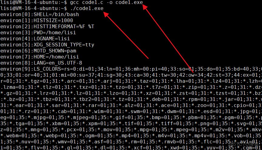 【Linux】環境變量和命令行參數_命令行 變量_優先級_16