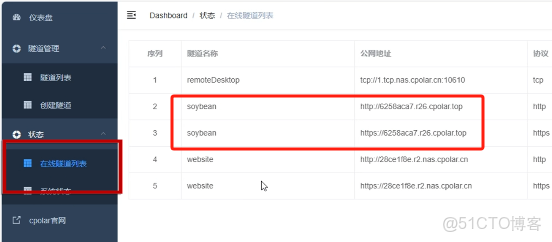 從局域網束縛到使用cpoalr全場景協作！SoybeanAdmin 的效率升級秘籍_子域名_12