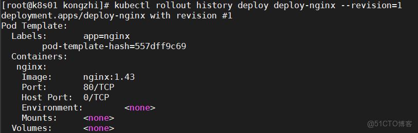 K8s控制器Deployment(補充)_Deployment_14
