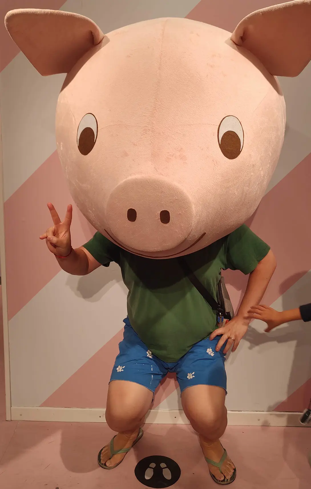 祝大家都在 2019 年收穫滿滿