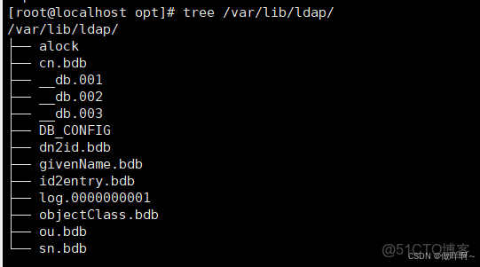 CentOS7 安裝OpenLDAP 及 PhpLDAPAdmin_#運維_09