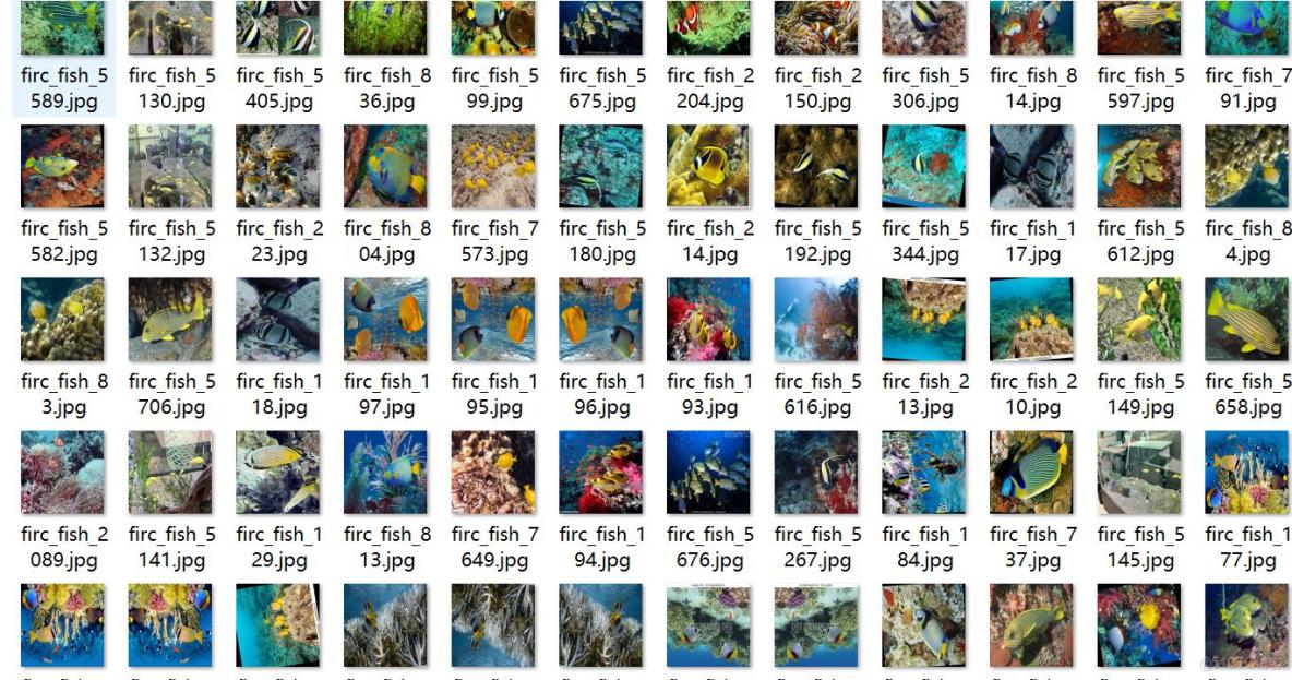 十三種不同魚類檢測數據集VOC+YOLO格式7798張13類別_txt文件