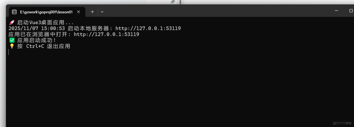 Go語言Embed把vue3編寫的前端內嵌到Go的程序中去_靜態文件_13