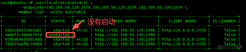 ETCD之動態擴容_擴容_03