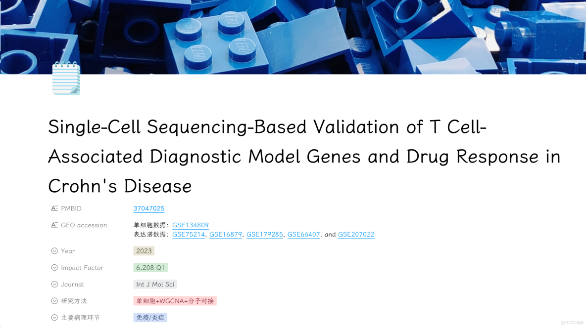 如何使用autodl連接docker_後端