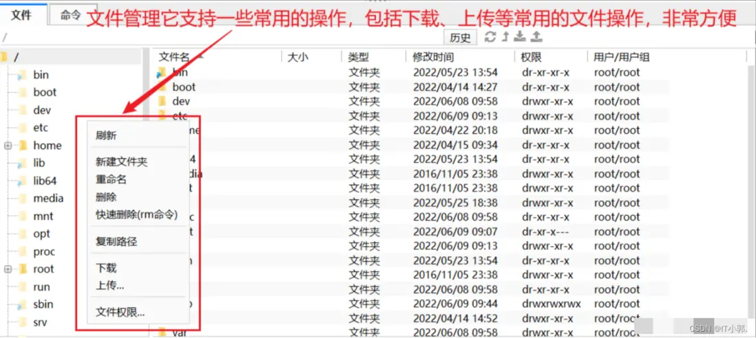 在這裏插入圖片描述