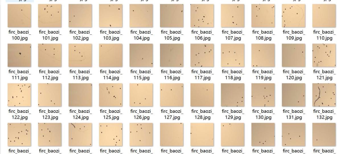 孢子檢測數據集VOC+YOLO格式522張1類別_數據集