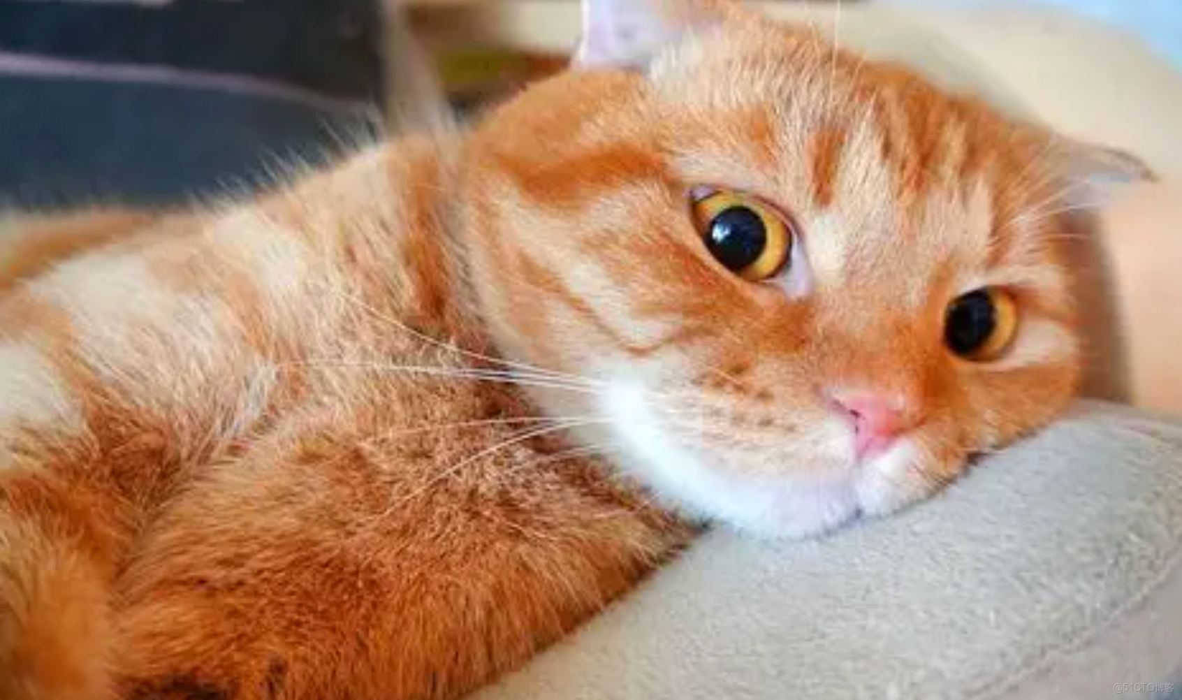 在這裏插入圖片描述