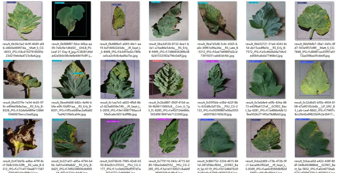 image-20251107205836257