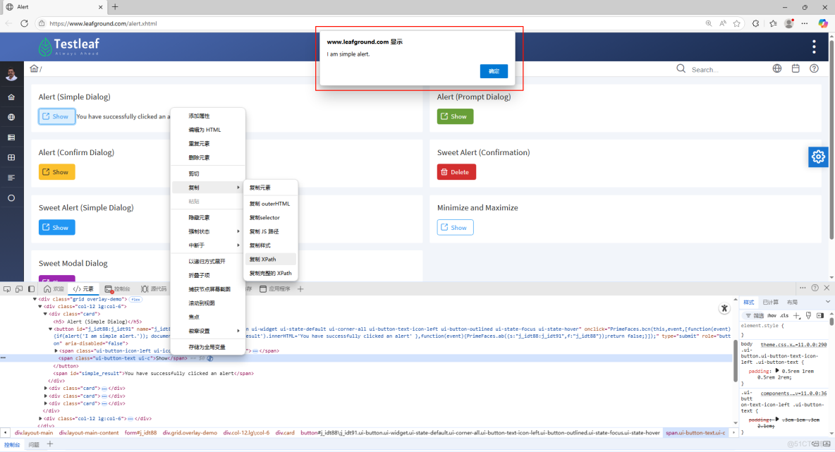 從零開始到設計Python+Selenium自動化測試框架_根目錄_02