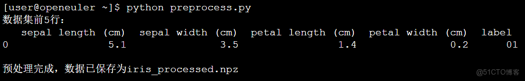 在openEuler操作系統基礎上實現機器學習開發以及openEuler優勢分析_數據集_05