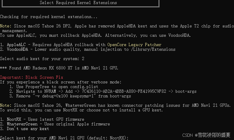 全網最簡單的黑蘋果安裝教程之一_#電腦_06