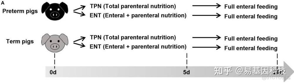全基因組甲基化數據分析_#生物信息學_05