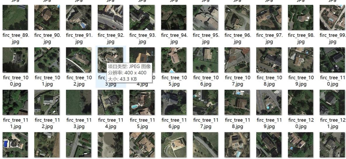 無人機視角城市道路樹木識別分割數據集labelme格式2029張1類別_json