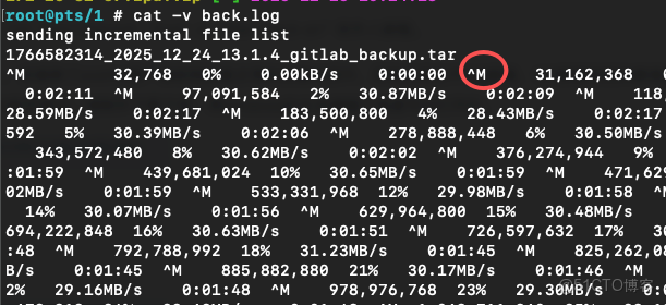 Linux使用mailx發送郵件，正文變成了附件的形式：tcmime.xxxx.xxxx.xxxxx.bin_mail_05