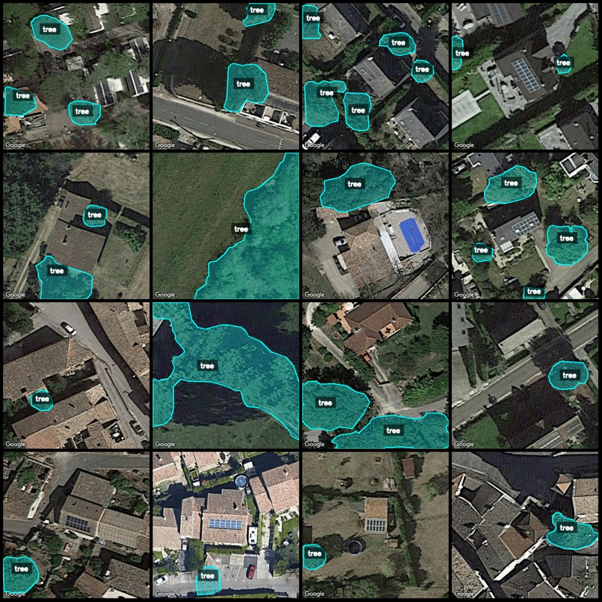 無人機視角城市道路樹木識別分割數據集labelme格式2029張1類別_json_04