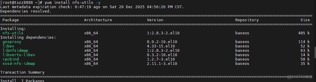 CentOS-Stream-10 搭建NFS網絡文件系統服務器_NFS服務器_02