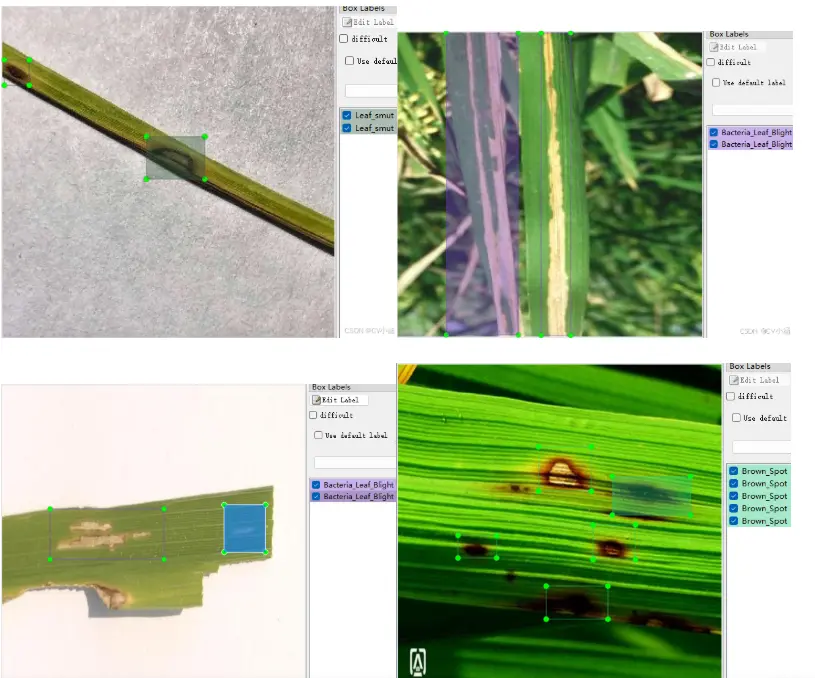 在這裏插入圖片描述