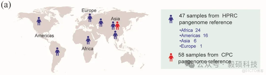 Sentieon | 泛基因組相比傳統變異檢測的優勢_優勢