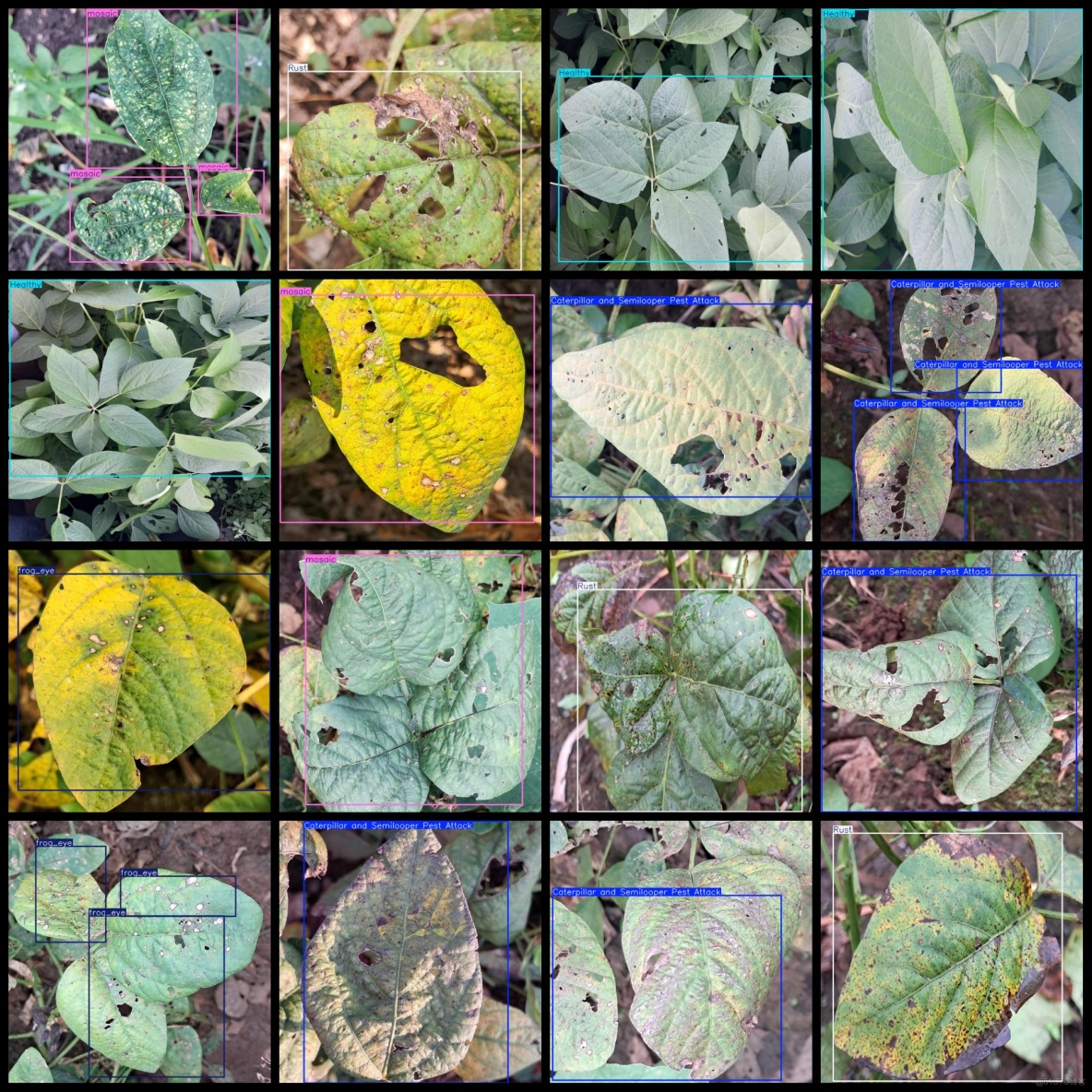 大豆葉片病害數據集600張VOC+YOLO格式_Rust