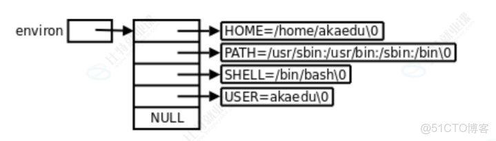【Linux】環境變量和命令行參數_命令行 變量_優先級_13