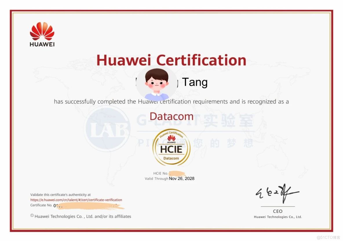 備考華為HCIE的秘訣！輕鬆拿下頂級認證_IT