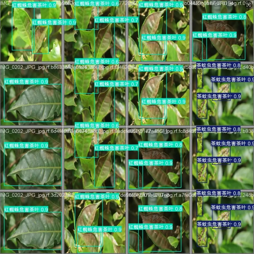 在這裏插入圖片描述