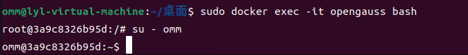 Ubuntu系統使用Docker安裝openGauss數據庫完整教程_數據庫_10