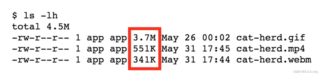 在這裏插入圖片描述