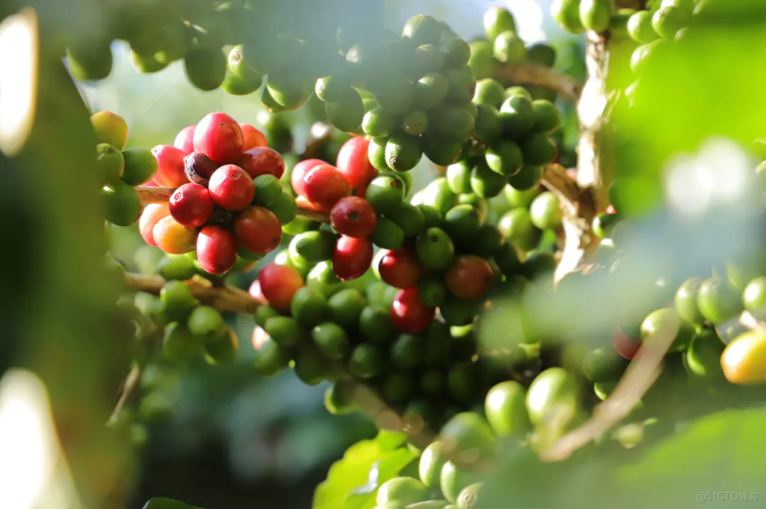 千億向新，拼多多的增長新路徑_鏈路_03