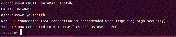 Ubuntu系統使用Docker安裝openGauss數據庫完整教程_數據庫_19