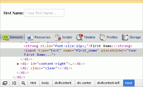 input showing placeholder attribute