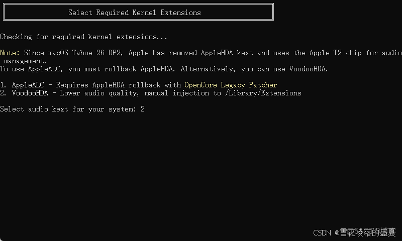 全網最簡單的黑蘋果安裝教程之一_Mac_05