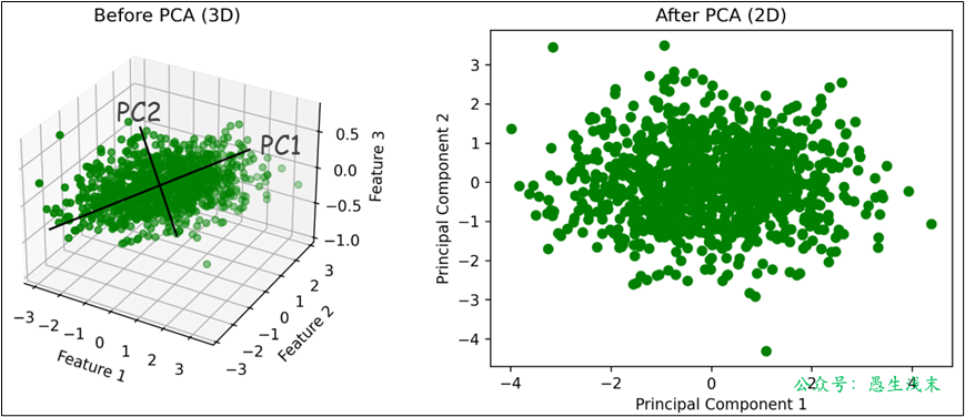 image-20250902103602199