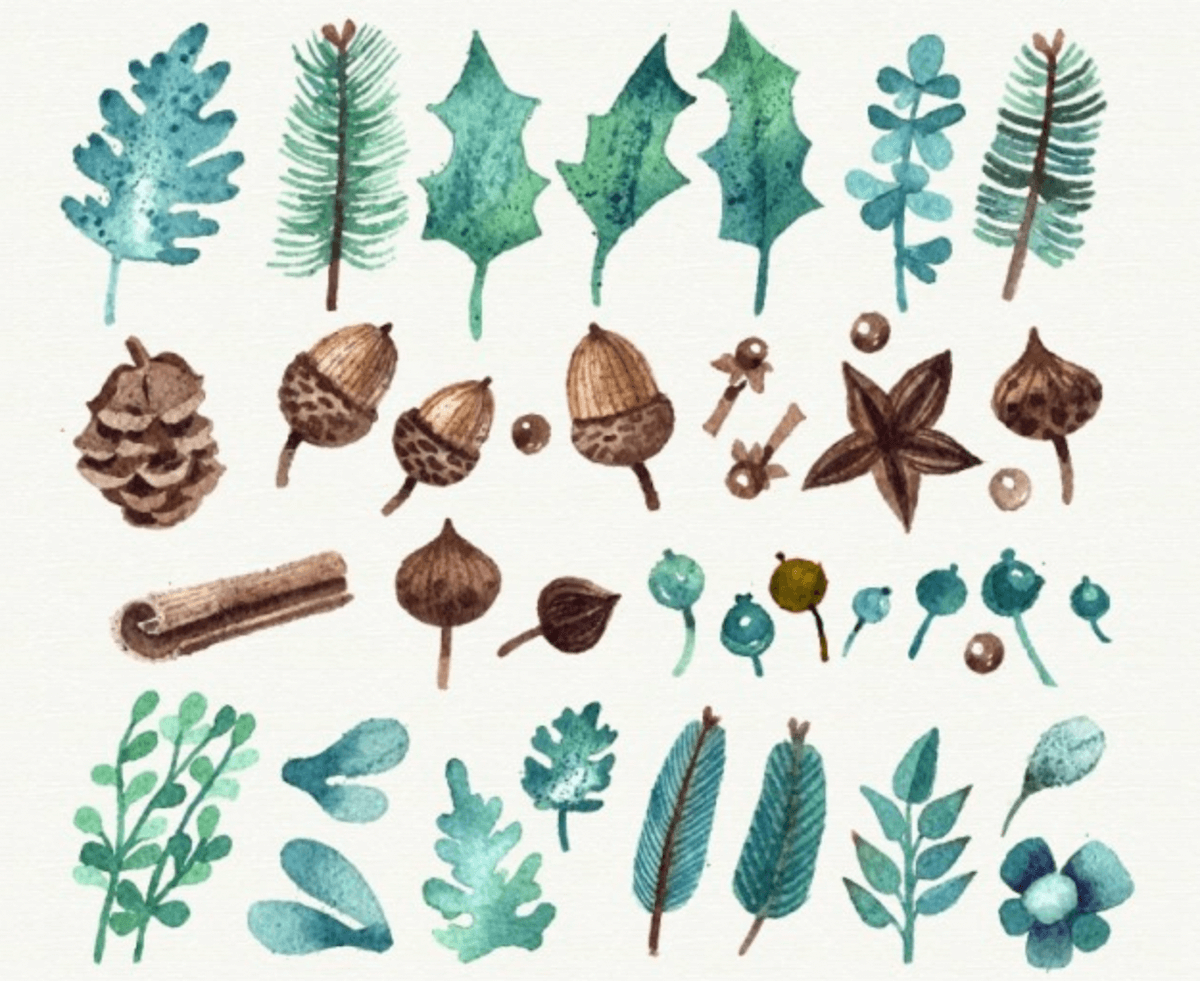 Watercolor Set Leaves And Branches