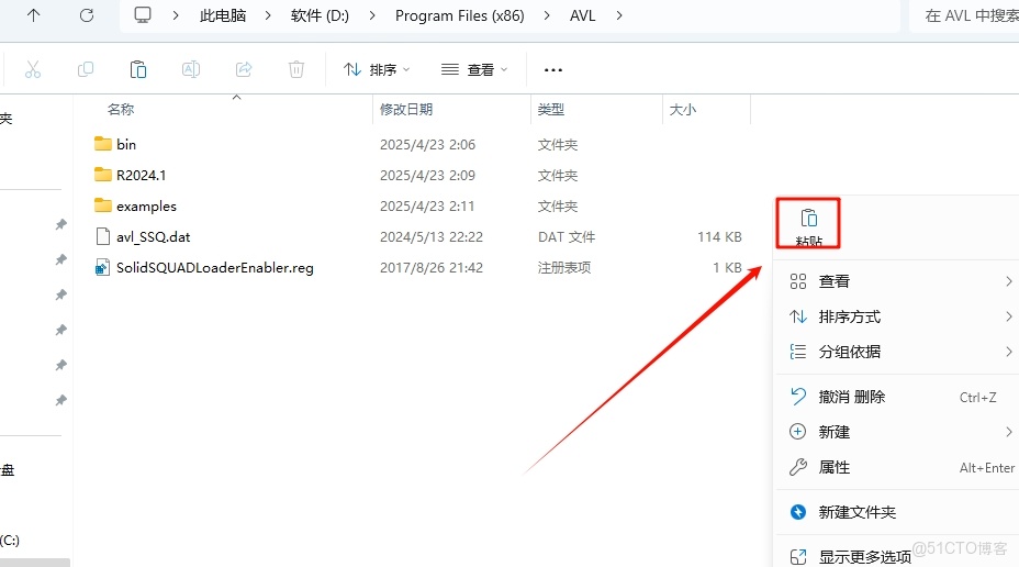 AVL Simulation Suite 2024 R1安裝教程(含安裝包)_軟件安裝_19