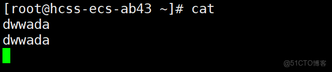 Linux管理文件與處理數據_文件描述符_04