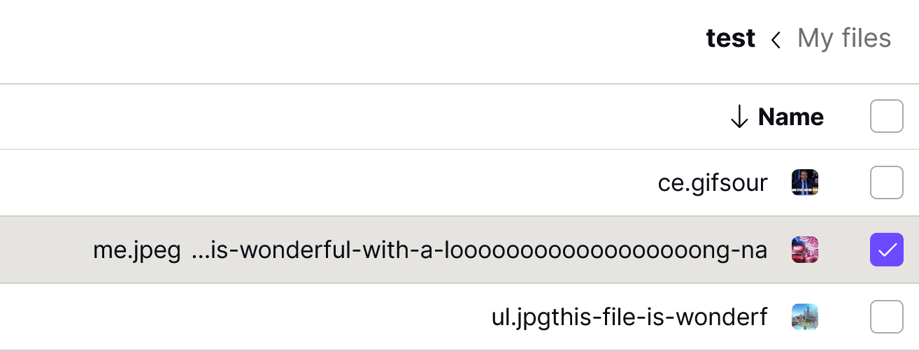 File display in Proton Drive, better displayed