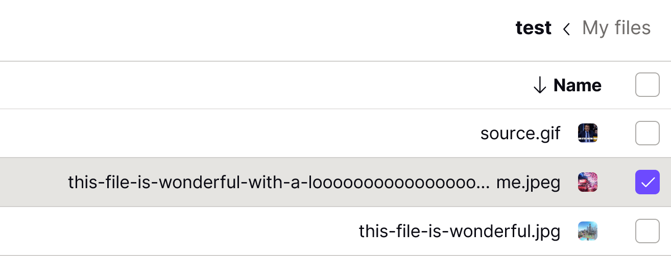 File display in Proton Drive, better displayed