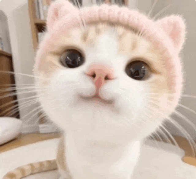 一句話，AI自動生成視頻，炸穿！_自媒體_04