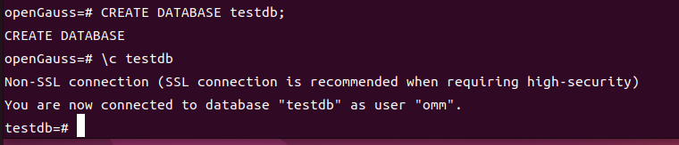 Ubuntu系統使用Docker安裝openGauss數據庫完整教程_數據庫_12