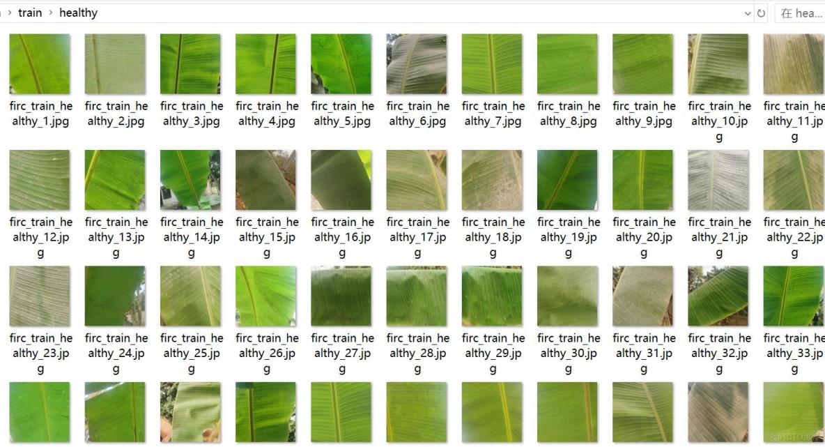 香蕉葉子病害分類數據集898張4類別_目標檢測_02