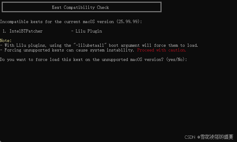 全網最簡單的黑蘋果安裝教程之一_#macos_08