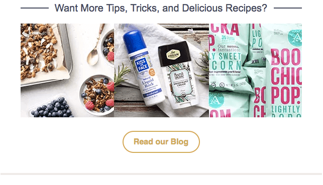 Last section of the body